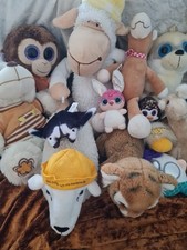 Plüschtiere kuscheltiere samm gebraucht kaufen  Mainz