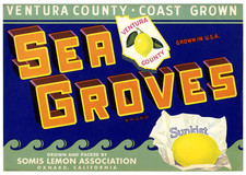 Sea groves vintage for sale  Lone Tree