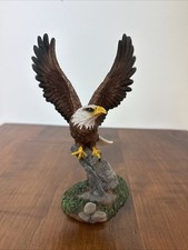 American bald eagle for sale  New Albany
