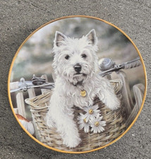 Westie dog porcelain for sale  BURNLEY