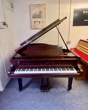 Lovely 5ft gloss for sale  NOTTINGHAM