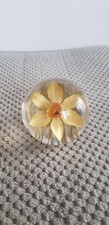 Hafod grange daffodil for sale  MORDEN