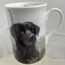 Danbury mint black for sale  BRIDGWATER