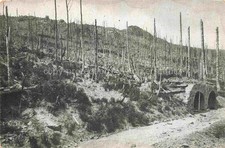 Hartmannswillerkopf hartmannsw gebraucht kaufen  Deutschland