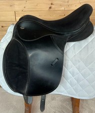 Thorowgood black cob for sale  PONTYCLUN