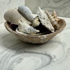 Decorative seashell basket for sale  Morgantown
