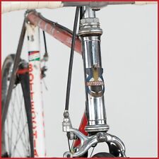 Bottecchia greg lemond usato  Barletta