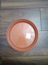 Whitefurze plastic terracotta for sale  BIRMINGHAM