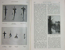 Old antique print for sale  UK