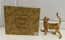 Breed apart dandy for sale  STANFORD-LE-HOPE