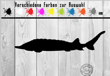 Aufkleber stör fisch gebraucht kaufen  Papenburg