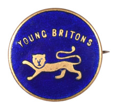 Vintage conservative party for sale  KENDAL