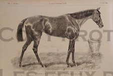 Horse andree winner d'occasion  Expédié en Belgium