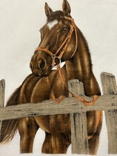 Beautiful chestnut coloed for sale  Wallingford