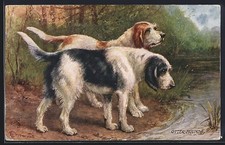 Cartolina artistica cane usato  Spedire a Italy