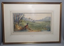 Original watercolour pheasants for sale  GLENROTHES