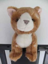 Russ ginger tabby for sale  LEICESTER