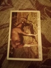 Ptfolder trade card for sale  LEICESTER