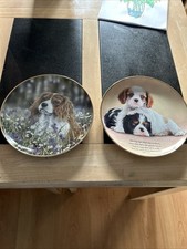 Danbury mint cavalier for sale  LOWESTOFT