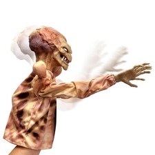 Horror reachers pumpkinhead for sale  Gilberts