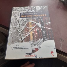 Non trovo tuoi usato  Torino