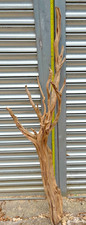 Driftwood piece multi for sale  BIRMINGHAM