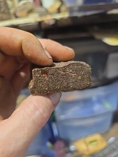 Meteorite chondrite weight for sale  Opp