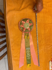 Rare 1970 akc for sale  North Royalton