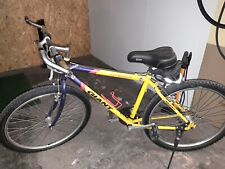 Giant mountenbike 24 gebraucht kaufen  Hagen
