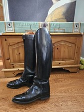 Konig sir dressage for sale  STROUD