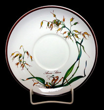 Unterteller villeroy boch gebraucht kaufen  Waakirchen