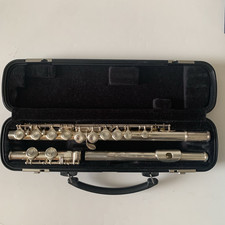 Yamaha advantage 200ad for sale  Montgomery