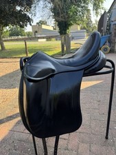 Childeric dgp dressage for sale  HUNTINGDON