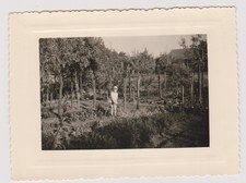 Photo ancienne enfant d'occasion  Bar-sur-Seine
