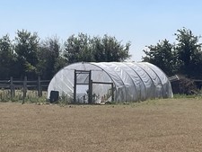 Used poly tunnel for sale  BAMPTON