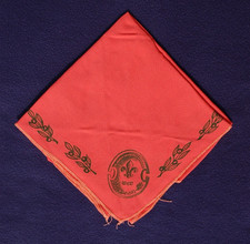scout scarf for sale scout scarf for sale FORDINGBRIDGE