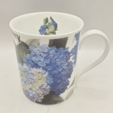 National trust hydrangea for sale  MATLOCK