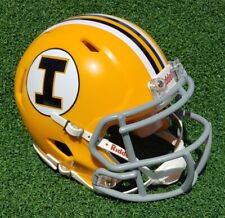 Iowa hawkeyes 1965 for sale  Merritt Island