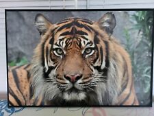 Foto leinwand .. gebraucht kaufen  Neuhaus am Rennweg