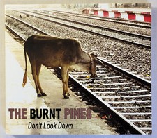 Don't Look Down by The Burnt Pines (CD, 2023) Folk/Singer-Songwriters comprar usado  Enviando para Brazil