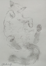 Esboço original de desenho a lápis de um gato de pêlo longo dormindo de costas  comprar usado  Enviando para Brazil