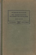 Wünsche schorler verbreitetst gebraucht kaufen  Aichach