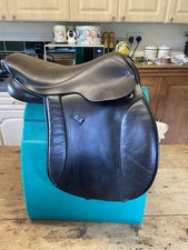 Native pony company for sale  GLASTONBURY