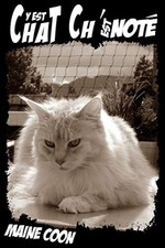 Chat est est for sale  UK