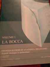 Stereogrammi anatomia dell usato  Montecatini Terme