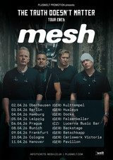 Mesh mesh tour gebraucht kaufen  Neuenhagen