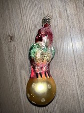 rainbow parrot for sale  Riverview