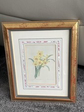 Pierre joseph redoute for sale  LONDON