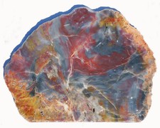 Large polished arizona for sale  Azusa