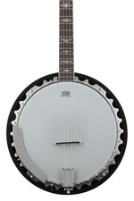 Washburn americana b10 for sale  Fort Wayne